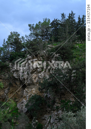 Majestic rocky landscape adorned with evergreen trees at dusk in a tranquil natural setting Majestic rocky landscape adorned with evergreen trees at dusk in a tranquil natural setting 133437194