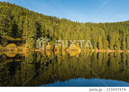 Mummelsee Lake, Black Forest, Baden-Wuerttemberg, Germany 133437474