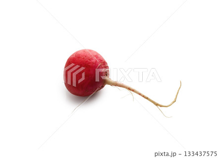 Fresh red radish without tops on white background Fresh red radish without tops on white background 133437575