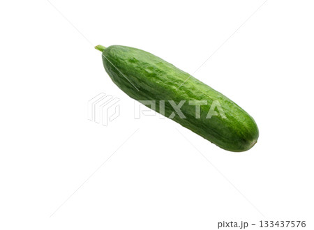 Green mini cucumber on white background 133437576