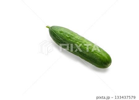 Single green mini cucumber on white background 133437579
