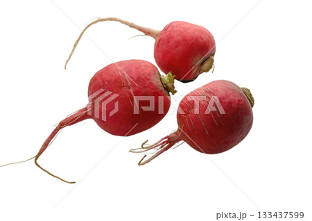 Three fresh red radishes isolated on white 133437599