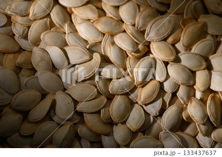 Harvested pumpkin seeds spread out to dry in warm sunlight, showcasing their natural textures and colors 133437637