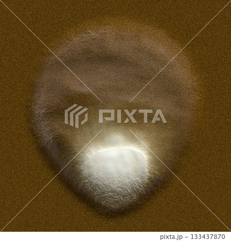 Single scallop shell rests under the summer sun on light-colored sand, viewed from above. Single scallop shell rests under the summer sun on light-colored sand, viewed from above. 133437870