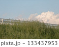 土手から見る雲 133437953