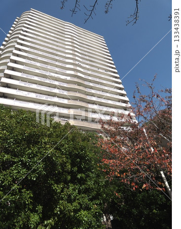 青空の下にそびえ立つトミンタワー多摩川二丁目と秋の木々 青空の下にそびえ立つトミンタワー多摩川二丁目と秋の木々 133438391
