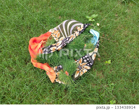 Freshly cut grass wrapped in colorful cloth used as animal fodder, natural green forage collected for livestock feed on outdoor grassy field 133438914