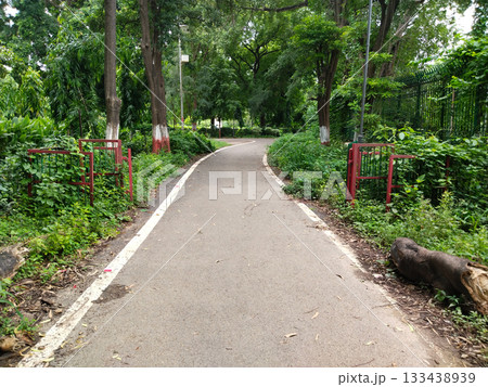 Curved paved walkway in lush green park bordered by painted tree trunks, dense foliage, and red metal railings, tranquil garden path ideal for walking, jogging, nature photography, leisure and urban Curved paved walkway in lush green park bordered by painted tree trunks, dense foliage, and red metal railings, tranquil garden path ideal for walking, jogging, nature photography, leisure and urban 133438939