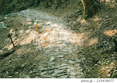伊射波神社の美しい風景 伊射波神社の美しい風景 133439077