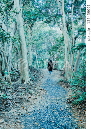 伊射波神社の美しい風景 伊射波神社の美しい風景 133439091