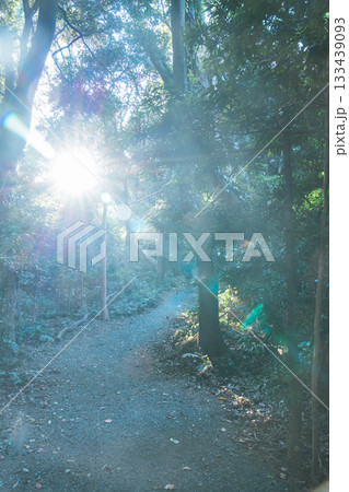 伊射波神社の美しい風景 伊射波神社の美しい風景 133439093