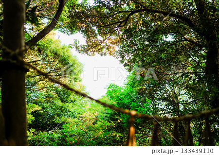 伊射波神社の美しい風景 伊射波神社の美しい風景 133439110