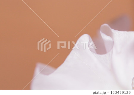 花のクローズアップ 133439129