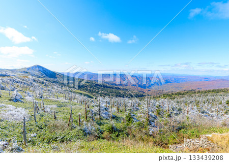 秋の八幡平展望台から見た景色 樹氷と紅葉 秋田県仙北市 秋の八幡平展望台から見た景色 樹氷と紅葉 秋田県仙北市 133439208