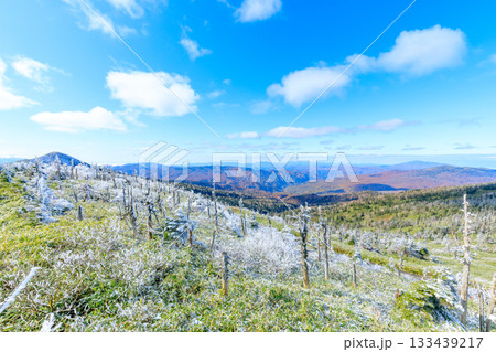 秋の八幡平展望台から見た景色 樹氷と紅葉 秋田県仙北市 秋の八幡平展望台から見た景色 樹氷と紅葉 秋田県仙北市 133439217
