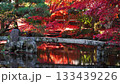 紅葉と日本庭園 133439226
