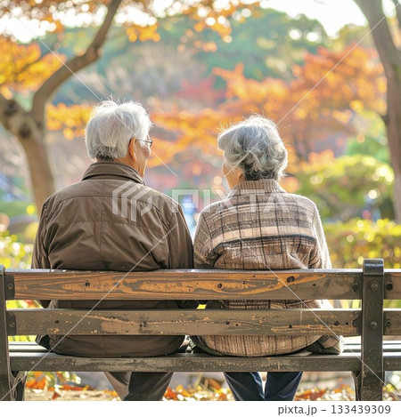 ベンチに座っている高齢の夫婦 133439309