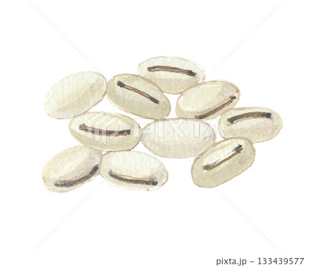 水彩で描いた白なた豆 133439577