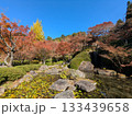 紅葉 133439658