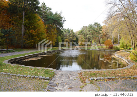 Beautiful Nature Autumn landscape with lake. Scenery view on autumn city park with golden yellow foliage in cloudy day. Walking paths in the city Park strewn with autumn fallen leaves 133440312