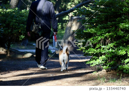 散歩する犬 133440740