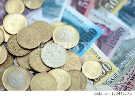 Big amount of Hungarian Forint currency money bills and coins. HUF currency banknotes and coins close up Big amount of Hungarian Forint currency money bills and coins. HUF currency banknotes and coins close up 133441170