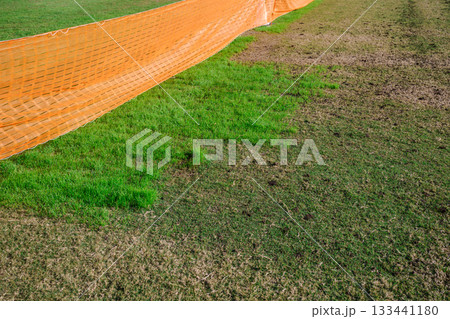 公園の広場 芝生のメンテナンス 公園の広場 芝生のメンテナンス 133441180