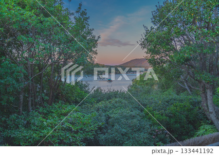 三重県で早朝に入った貸切露天風呂 133441192