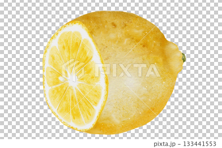 Lemon cut watercolor. Hand drawn tropical sour fruit. Clip art of juicy yellow lime. Citrus on isolated white background. Ideal for logo and packaging of natural cosmetics, household chemicals and 133441553