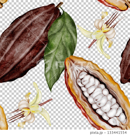 Cocoa beans with flowers seamless watercolor pattern. Superfood ornament. Hand-drawn watercolor illustration on a white background. For chocolate and cocoa product designs. Cocoa beans with flowers seamless watercolor pattern. Superfood ornament. Hand-drawn watercolor illustration on a white background. For chocolate and cocoa product designs. 133441554