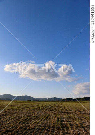 黄金色に染まる秋の田んぼと青空 / 冬枯れの田園風景 黄金色に染まる秋の田んぼと青空 / 冬枯れの田園風景 133441655