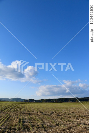 黄金色に染まる秋の田んぼと青空 / 冬枯れの田園風景 133441656