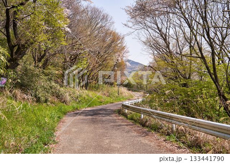 神奈川県　秦野市東田原の道 133441790