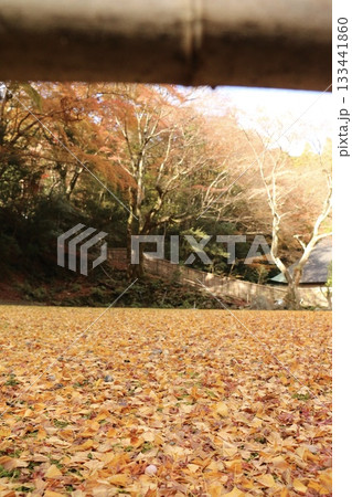 落ち葉のじゅうたんと秋の里山風景 133441860