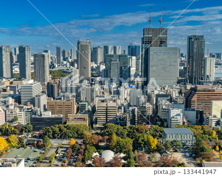 東京タワーから見た、高層ビル群 133441947