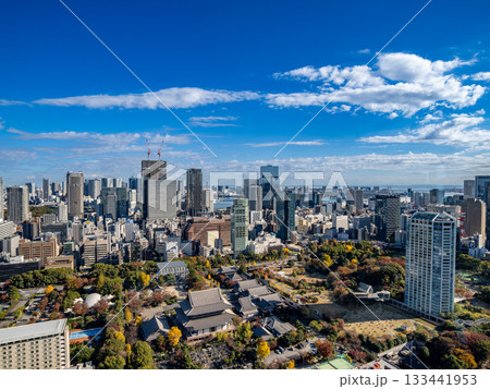 東京タワーから見た、高層ビル群 133441953