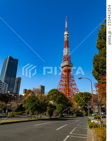 芝公園から見える風景 芝公園から見える風景 133441954