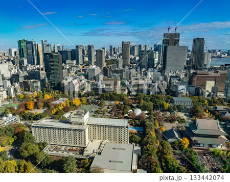 東京タワーから見た風景 133442074