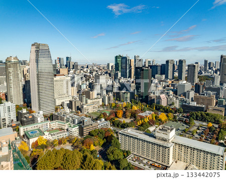 東京タワーから見た風景 133442075