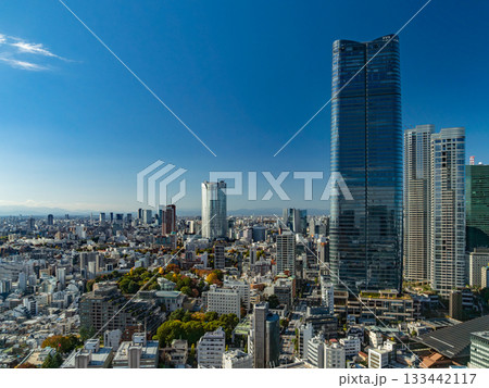 東京タワーから眺める都市風景 東京タワーから眺める都市風景 133442117