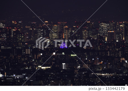 大阪城パープルライトアップ　大阪平野夜景 133442179