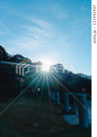 賢島の美しい海を眺める 133442497