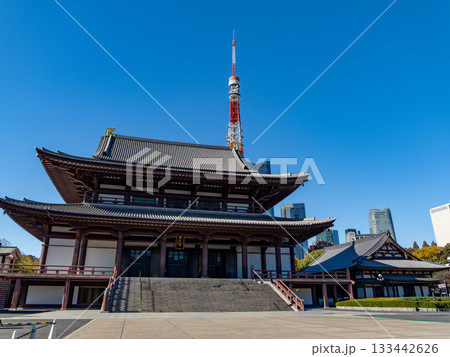 芝公園から見える東京タワーと増上寺 133442626