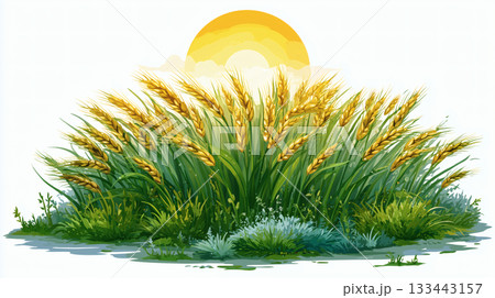 太陽 日 お日様 133443157