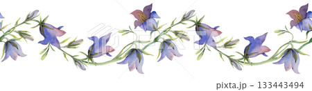Horizontal seamless border with bellflowers on a white background. Watercolor illustration of realistic wildflowers. A botanical template for textile and wallpaper design, gardening. Horizontal seamless border with bellflowers on a white background. Watercolor illustration of realistic wildflowers. A botanical template for textile and wallpaper design, gardening. 133443494