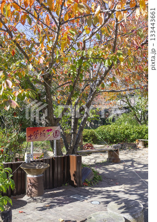 【縦写真】常滑の土管坂花園 133443661