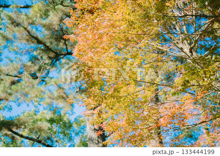 賢島の美しい海が見える温泉 賢島の美しい海が見える温泉 133444199