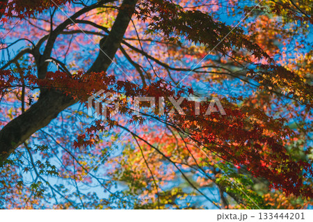 賢島の美しい海が見える温泉 133444201