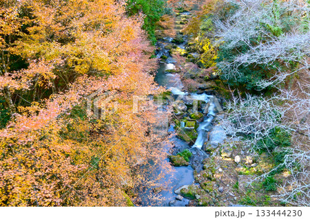 大滝渓谷の紅葉風景 大滝渓谷の紅葉風景 133444230