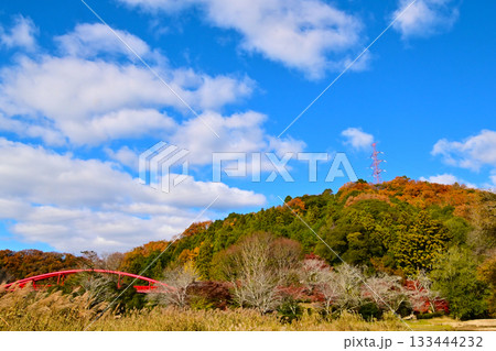 大滝渓谷の紅葉風景 大滝渓谷の紅葉風景 133444232
